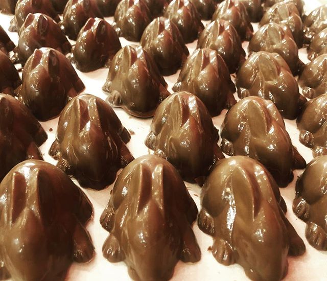 Peanut butter filled, milk chocolate bunnies 🥰🐰💐
.
.
.
.
.
.
#chocolate #milkchocolate #chocolatiers #peanutbutter #chocolatebunnies #spring #easter #locallymade #louisville #louisvillelove #cellardoorchocolates